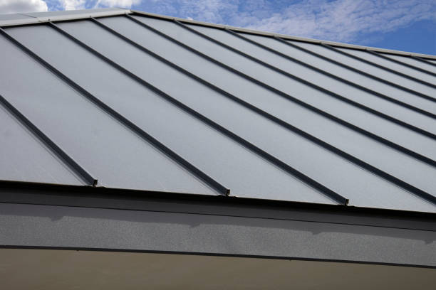 Best Roof Moss and Algae Removal  in Lincoln, MT